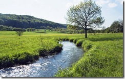 Flusslauf in der Wiese in Bayern, Deutschland (River running through meadow in Bavaria, Germany)