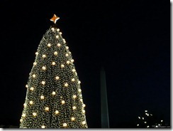 national christmas tree and washington monument at night