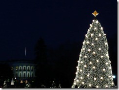 white house and national christmas tree