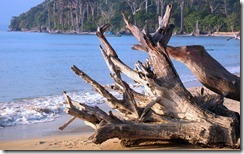 अंडमान का समुद्री तट Andaman Beach, The Union Territory of Andaman & Nicobar Islands