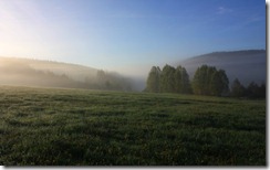 Morning meadow, Šumava
