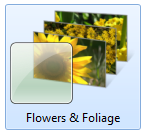 flowersandfoliagewindows7theme