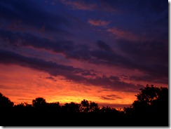 4400609651_ccf0e89aff_o