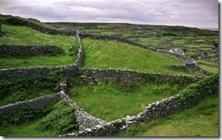 Stone walls on the island of Inisheer in Galway Bay, Ireland