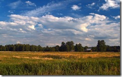 Łąka na Kurpiach (Kurpie Meadows)