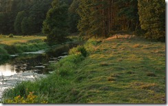 Rzeka Orzyc (Orzyc river )
