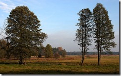 Łąki wczesnym popołudniem (Early afternoon on meadows)