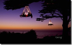 Climbers in three portaledges with mosquito netting camp in trees on the California Coast near Elk, California