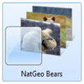 natgeobearswindows7themelogo