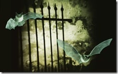 Mysterious Gate with Textured Wall, and Two Bats in Flight
