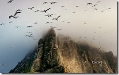 Clouds cover a seabird rookery high on a sea stack cliff on Boreray Island, St. Kilda archipelago, Scotland