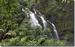 Waterfall near Īao Needle, Mau'i, Hawaii, U.S.
