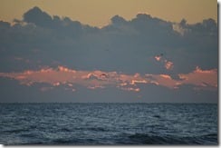 DSC_6789