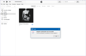 iTunes App on Windows 10